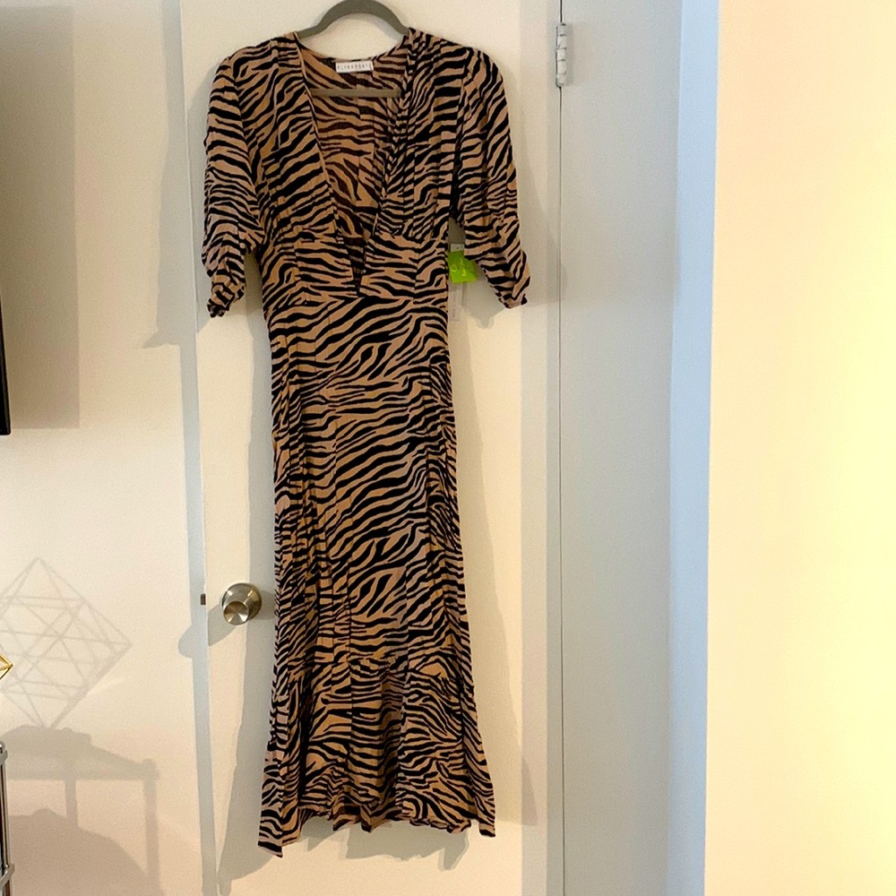 Flynn Skye Animal Print Maxi Dress